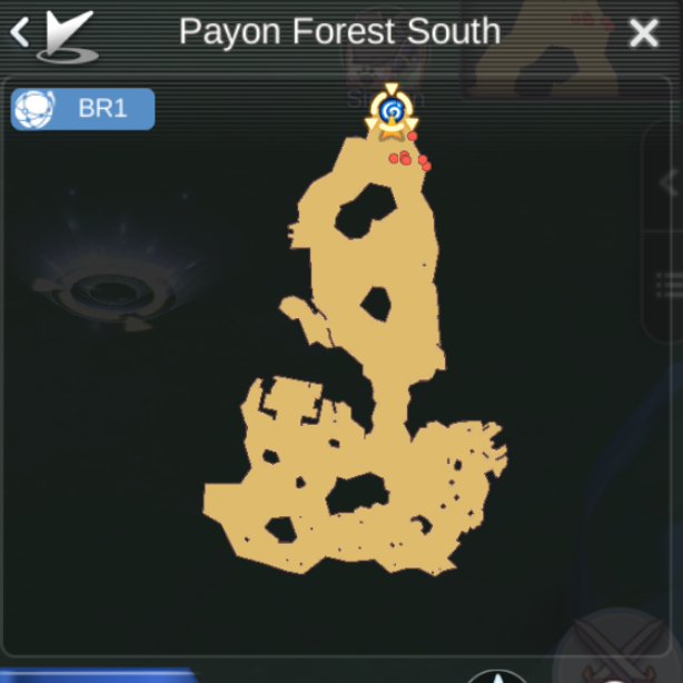 Maps - Payon Forest